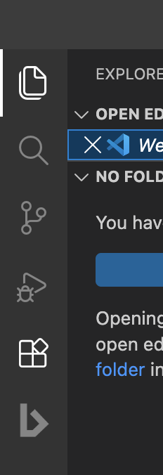 The activity bar on VS Code